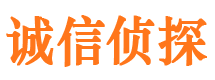 芦山诚信私家侦探公司